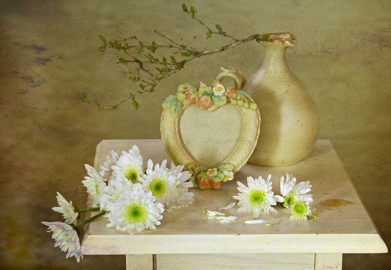 White Chrysanthemums on Table