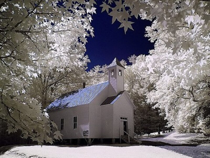 White Church in Forest