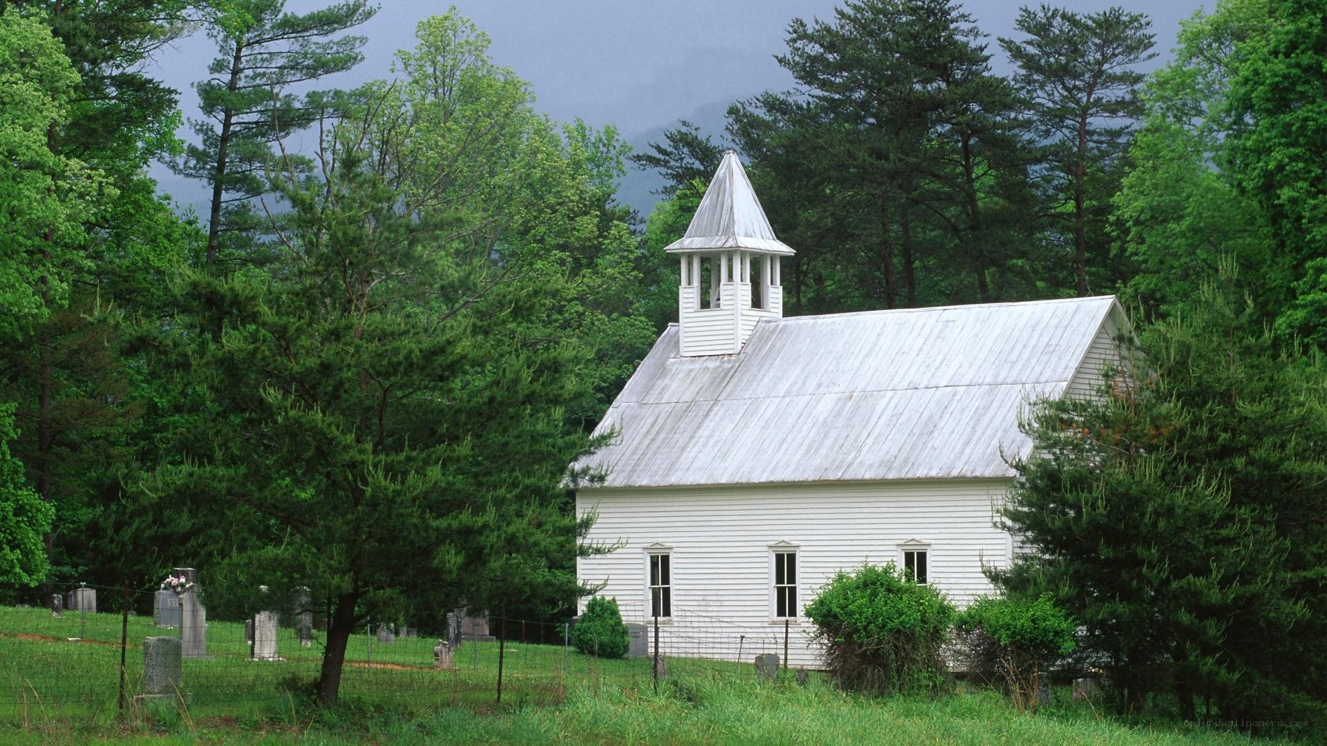 White church in forested area