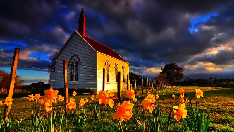 White Church with Daffodils