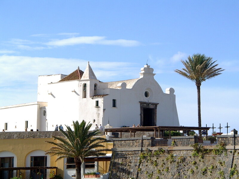 White church with palm trees
