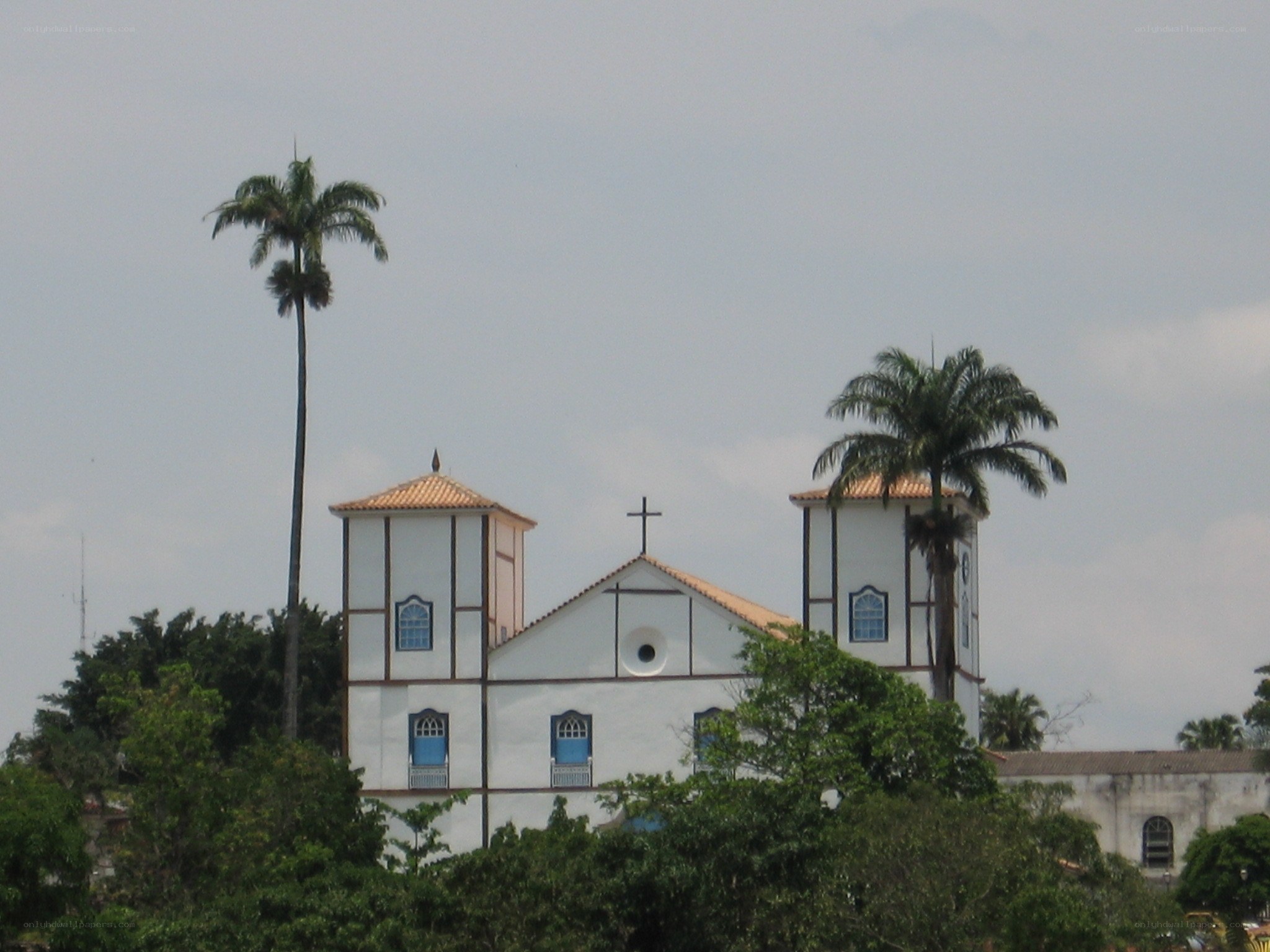 white church with palm trees