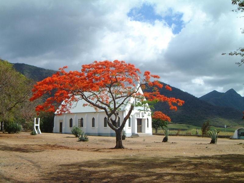 White Church with Red Tree
