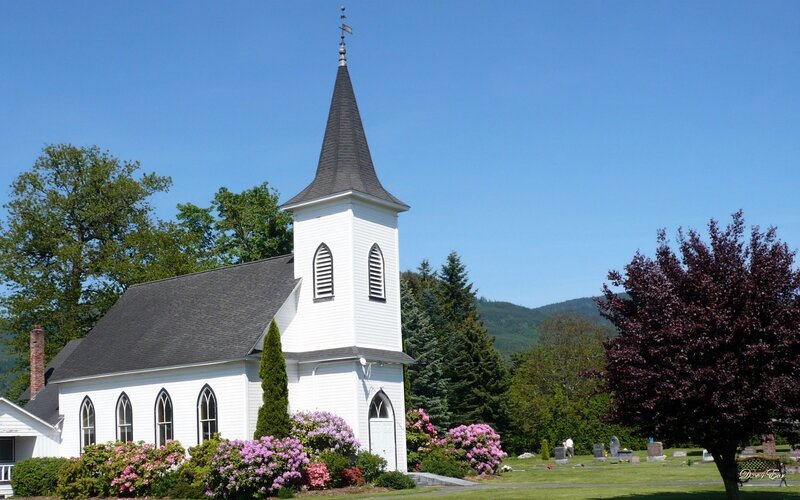 White Church with Steeple — Serene, Afternoon, Photograph, Trees