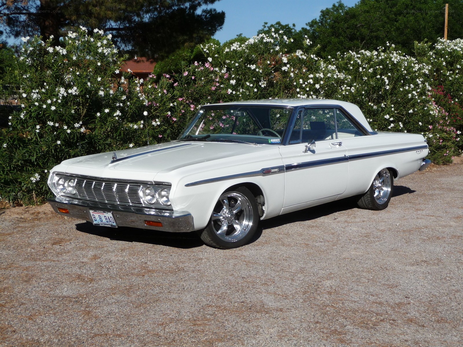 White classic car in garden