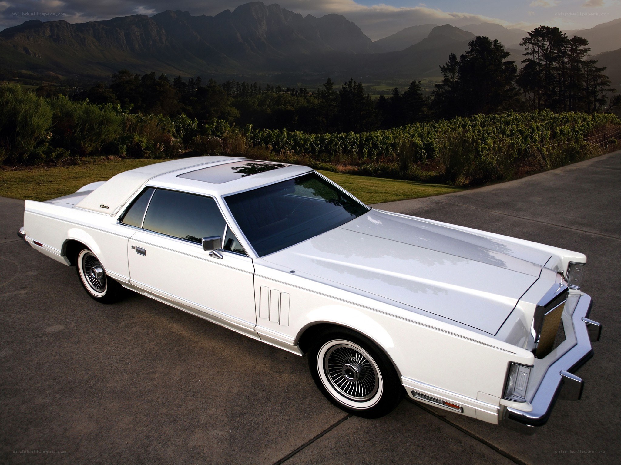 White classic car in vineyard