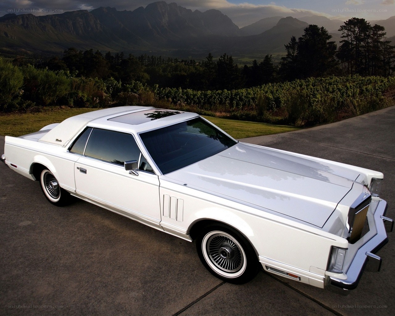 White classic car in vineyard