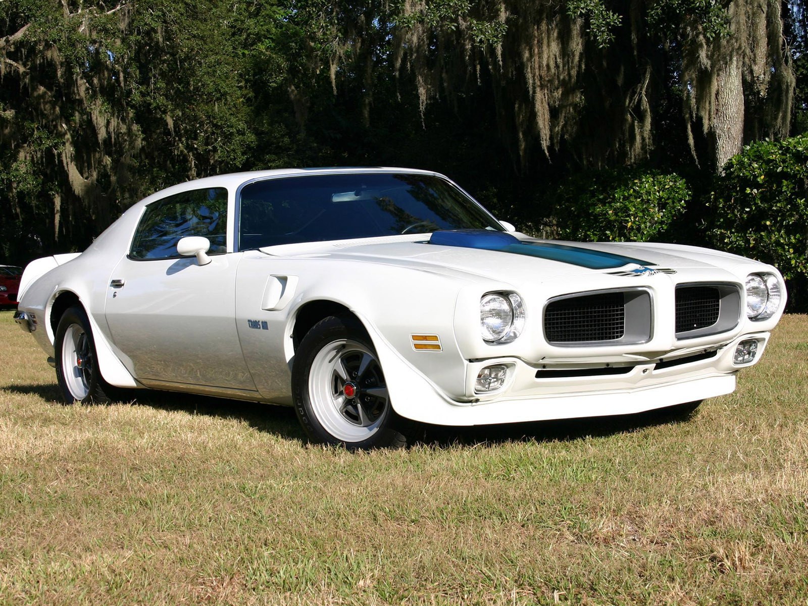 white classic muscle car