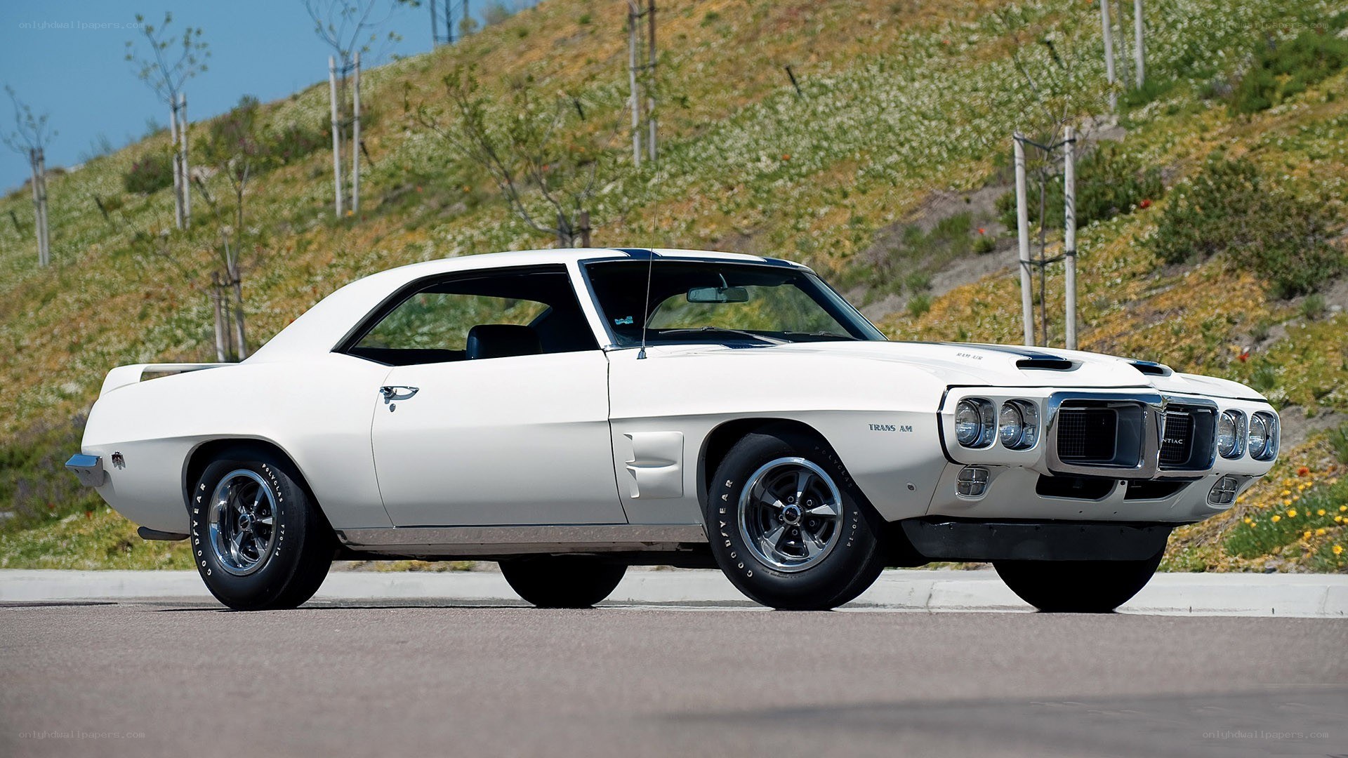 White classic muscle car