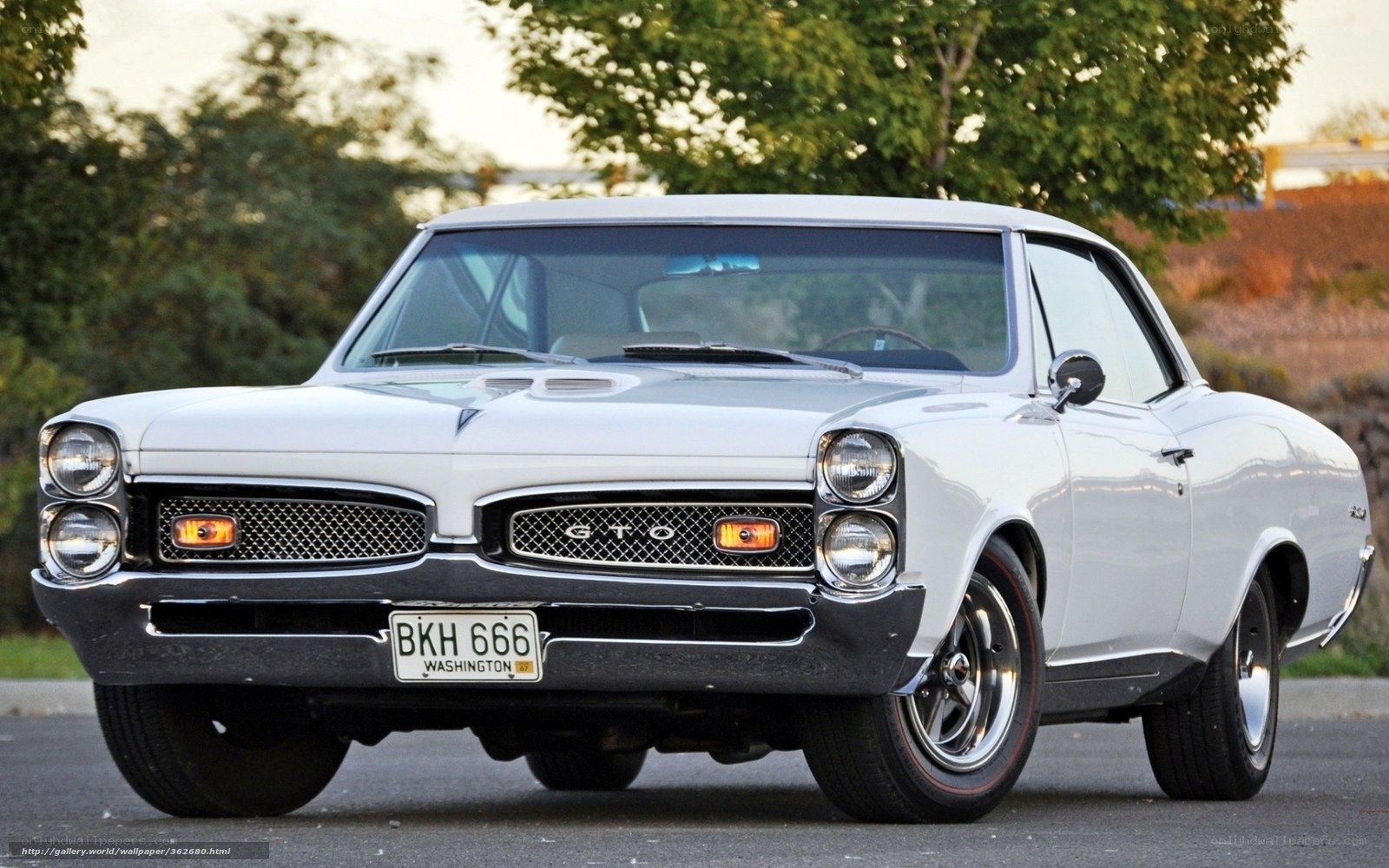 White classic muscle car