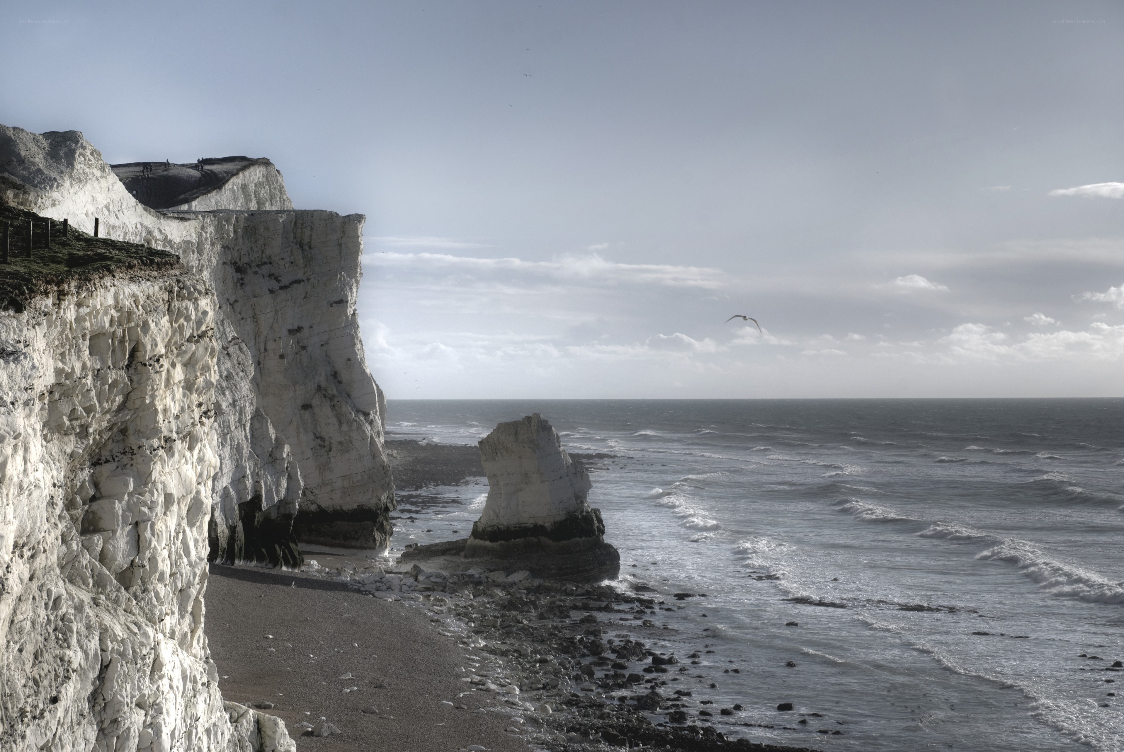 White cliffs by the sea