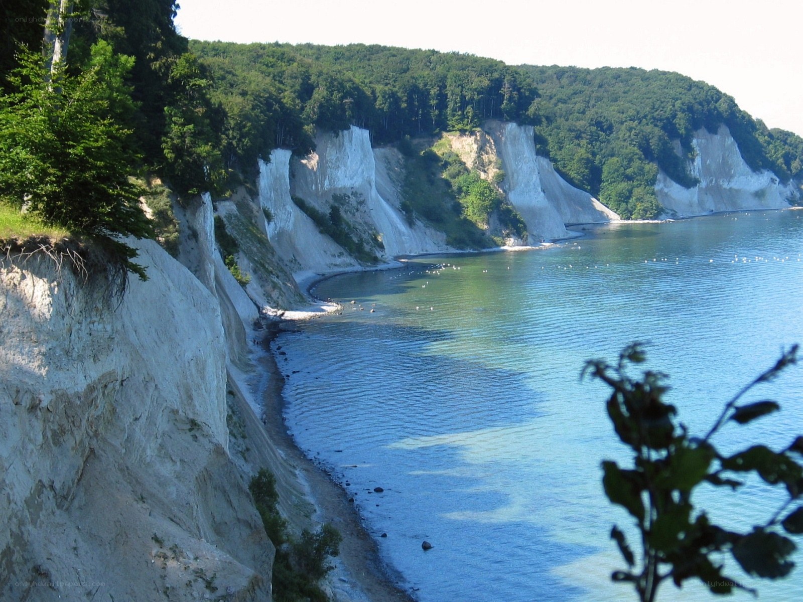 White cliffs by the sea