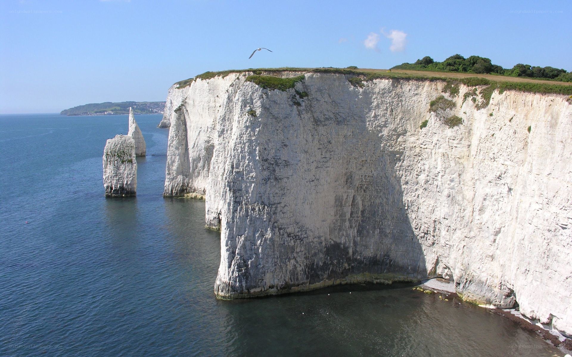 White cliffs of Dover