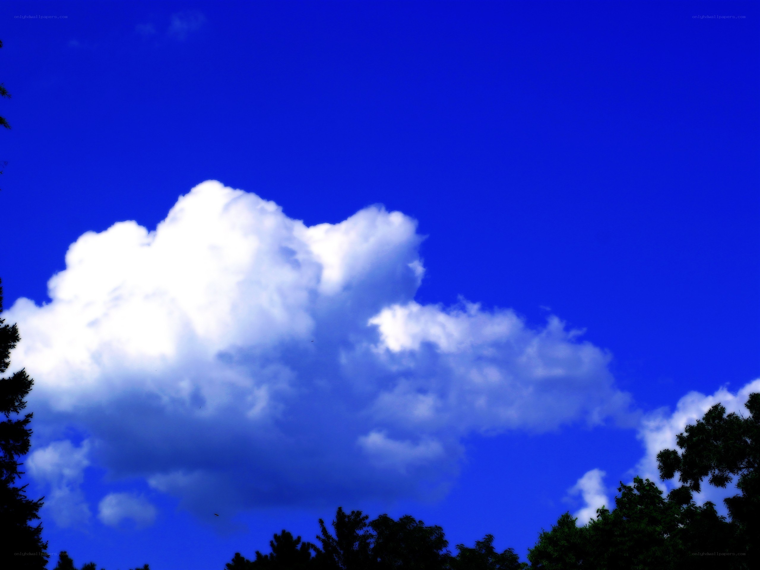White cloud in blue sky