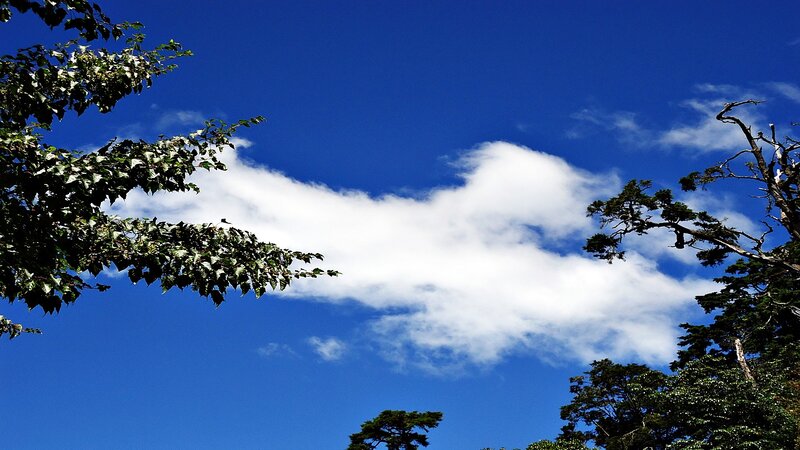 White Cloud in Blue Sky — Serene, Afternoon, Photograph, Trees, Clouds