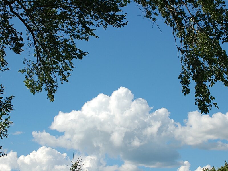 White Cloud in Blue Sky — Serene, Afternoon, Photograph, Trees