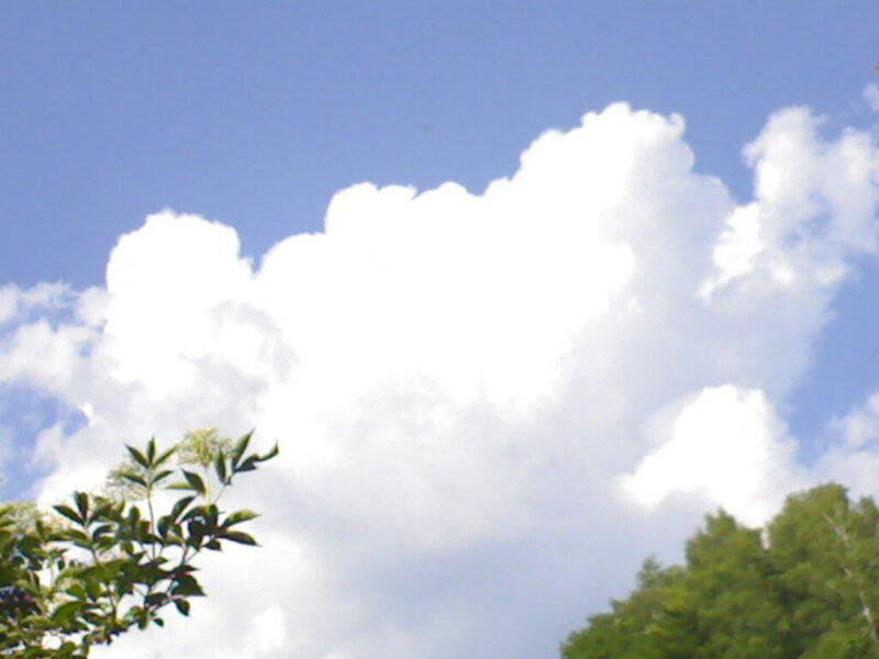 White Cloud in Blue Sky — Trees