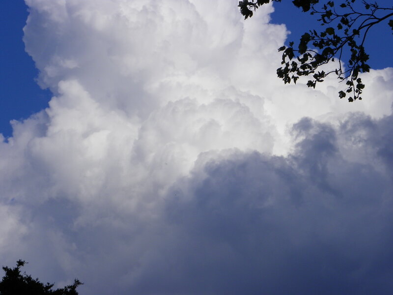 White Clouds in Blue Sky — Dramatic, Afternoon, Photograph, Tree Branches