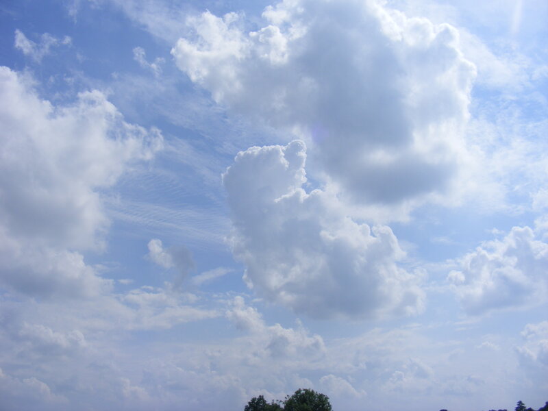 White Clouds in Blue Sky — Serene, Trees