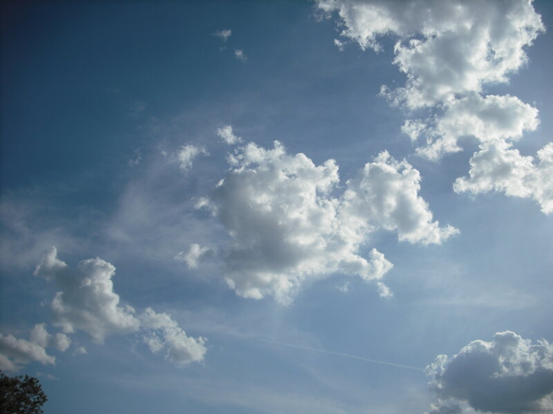 White Clouds in Blue Sky — Tree