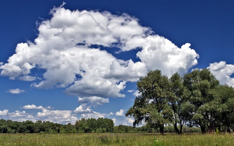 White Clouds over Field — Blue, Serene, Afternoon