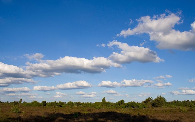 White Clouds over Field — Blue, Serene