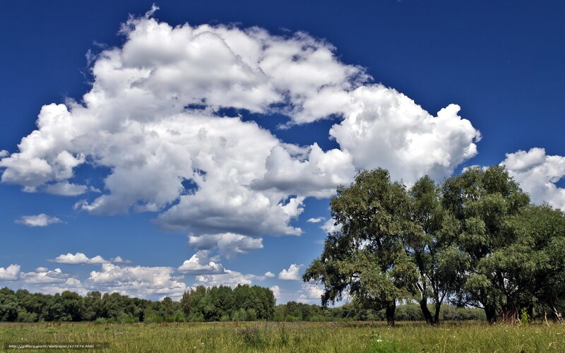 White Clouds over Field — Blue