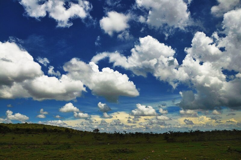 White Clouds over Grassland