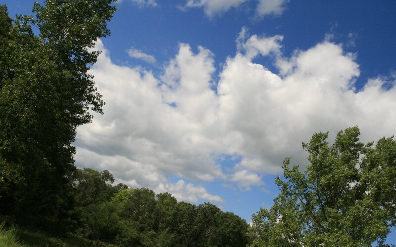 White Clouds over Trees — Blue