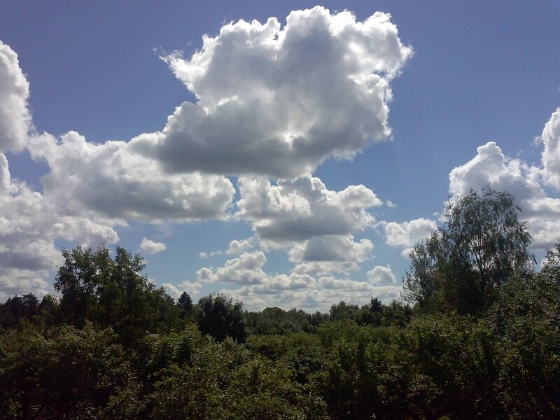 White Clouds over Trees