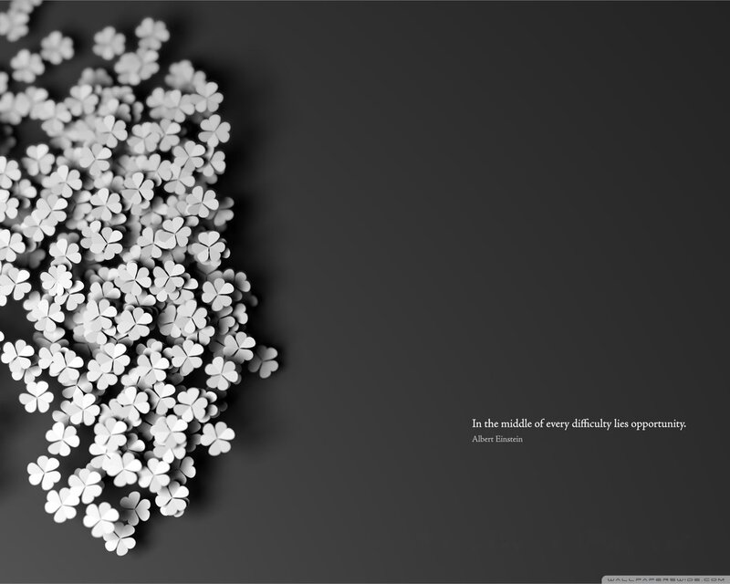 White Clover Flowers — Black, Calm, Minimalist