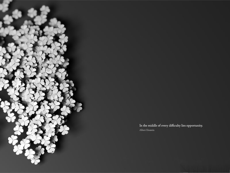 White Clover Flowers — Black, Calm