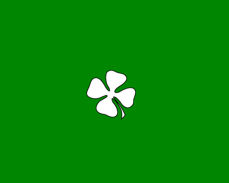 white clover on green