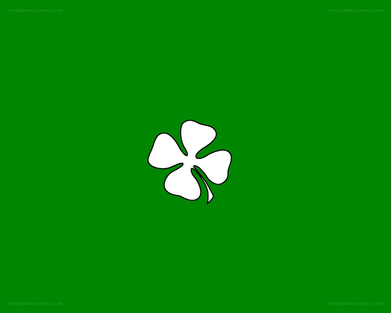white clover on green