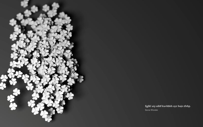 white clovers on dark background