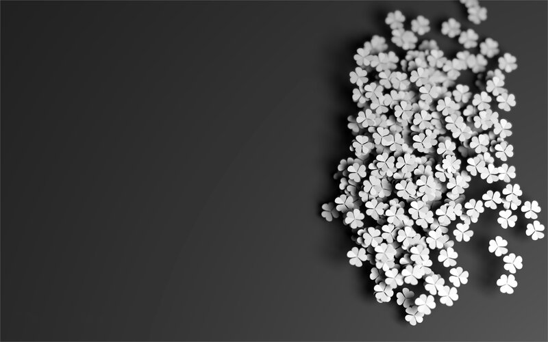 White clovers on dark background