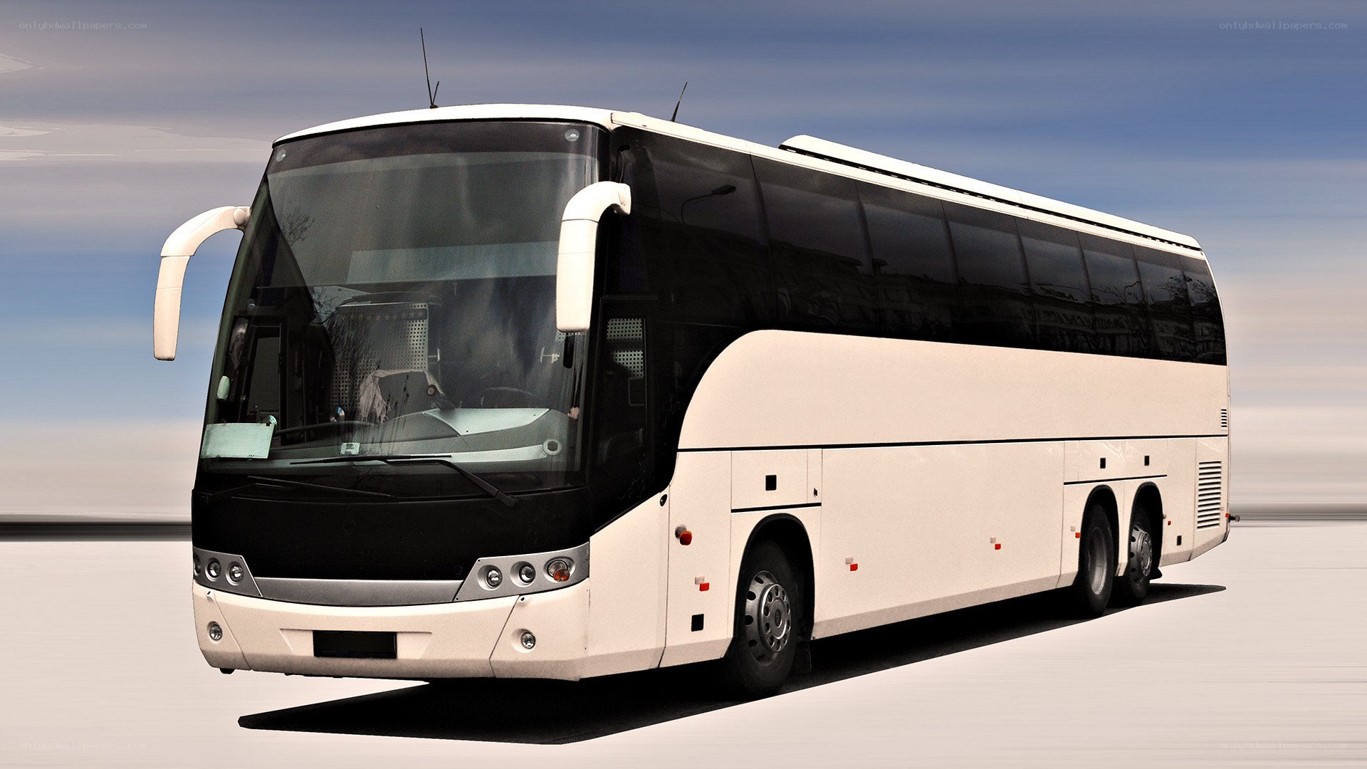 white coach bus on road