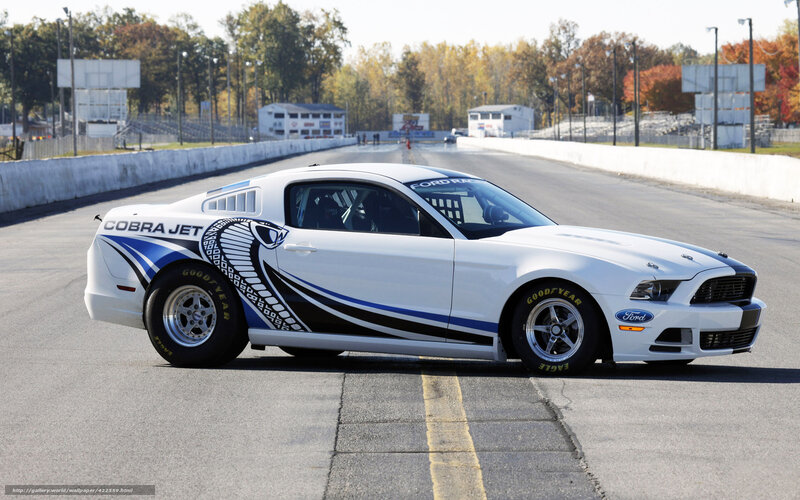 white cobra jet race car
