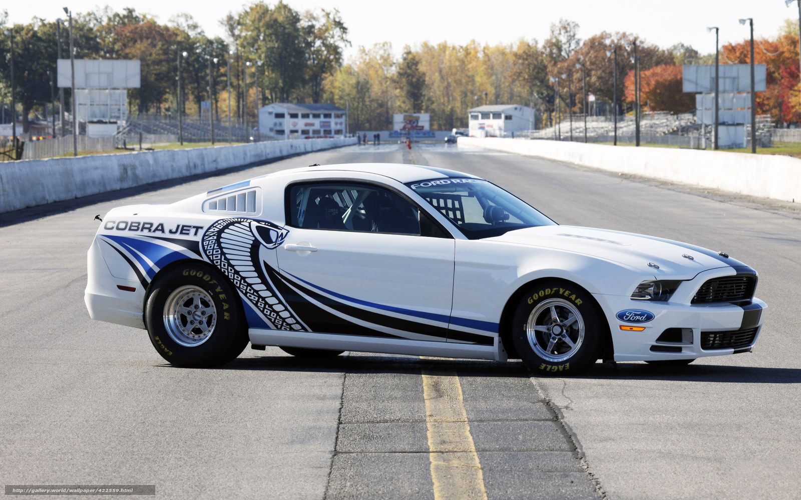 white cobra jet race car