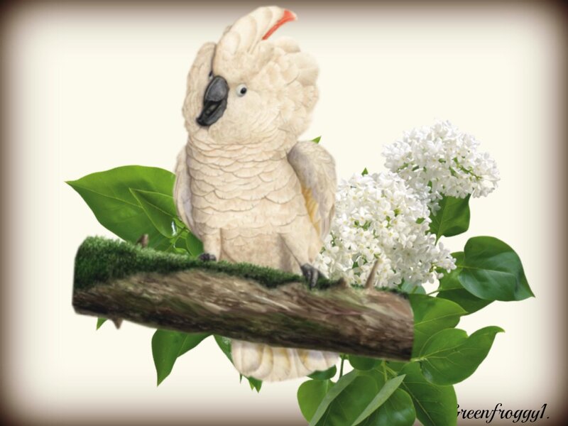 White Cockatoo on Branch — Serene, Illustration