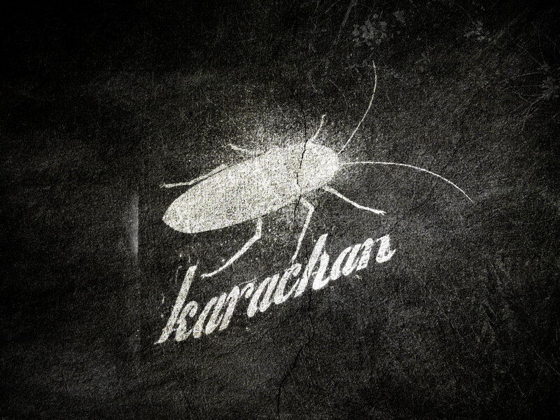 White Cockroach Silhouette