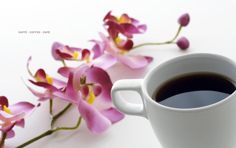 White Coffee Cup — Serene