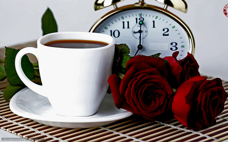 White Coffee Cup with Roses — Calm, Morning