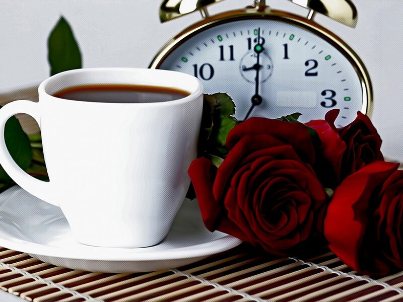 White Coffee Cup with Roses — Calm