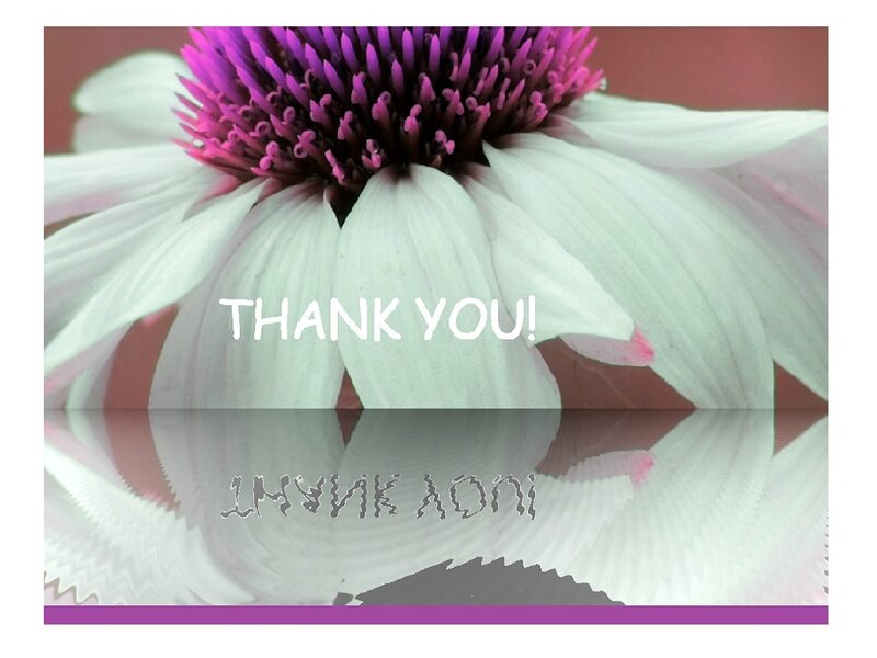 White Coneflower with Purple Center