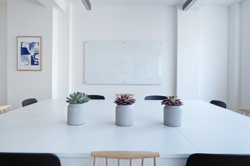 White conference room with plants