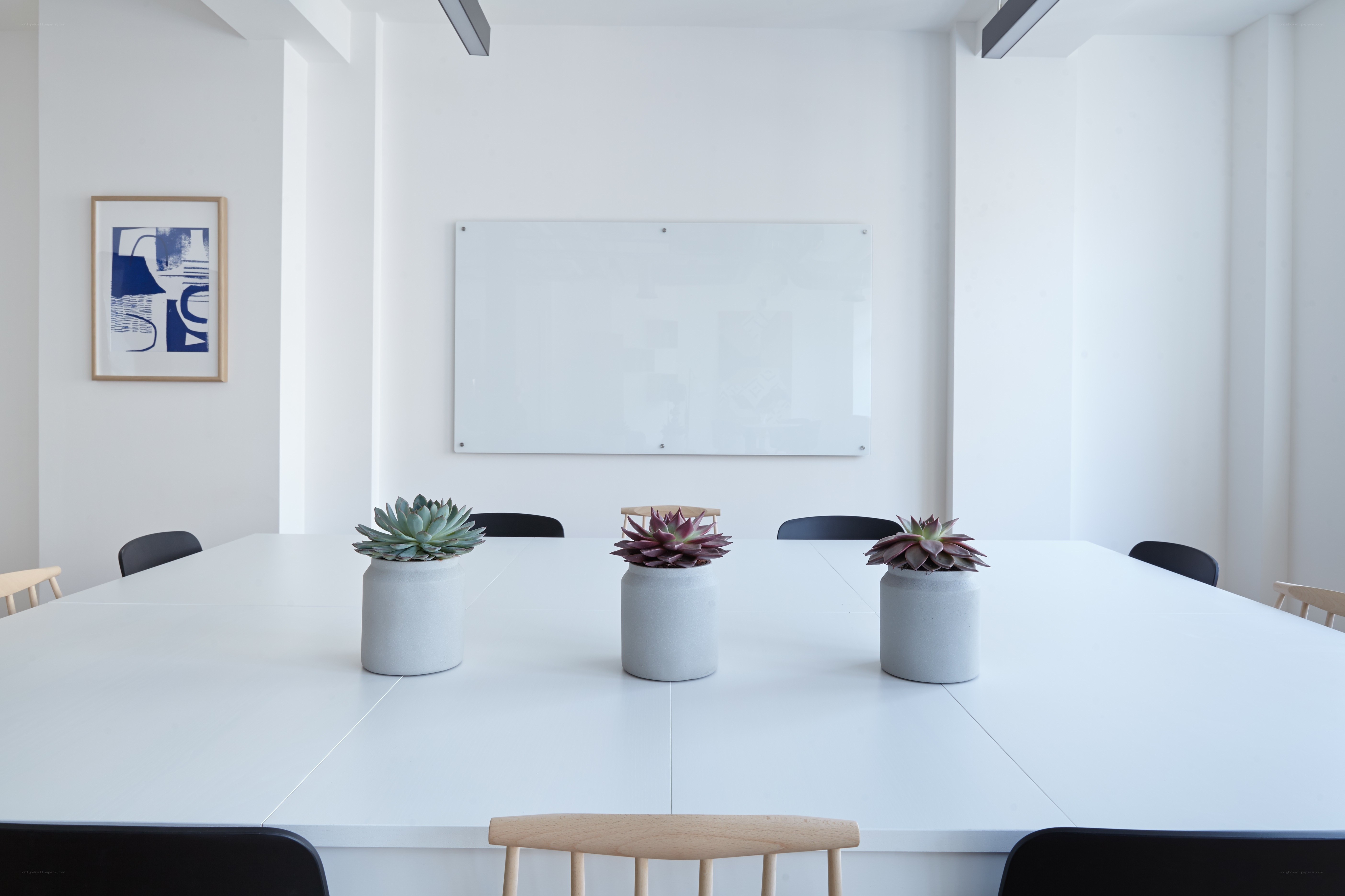 White conference room with plants