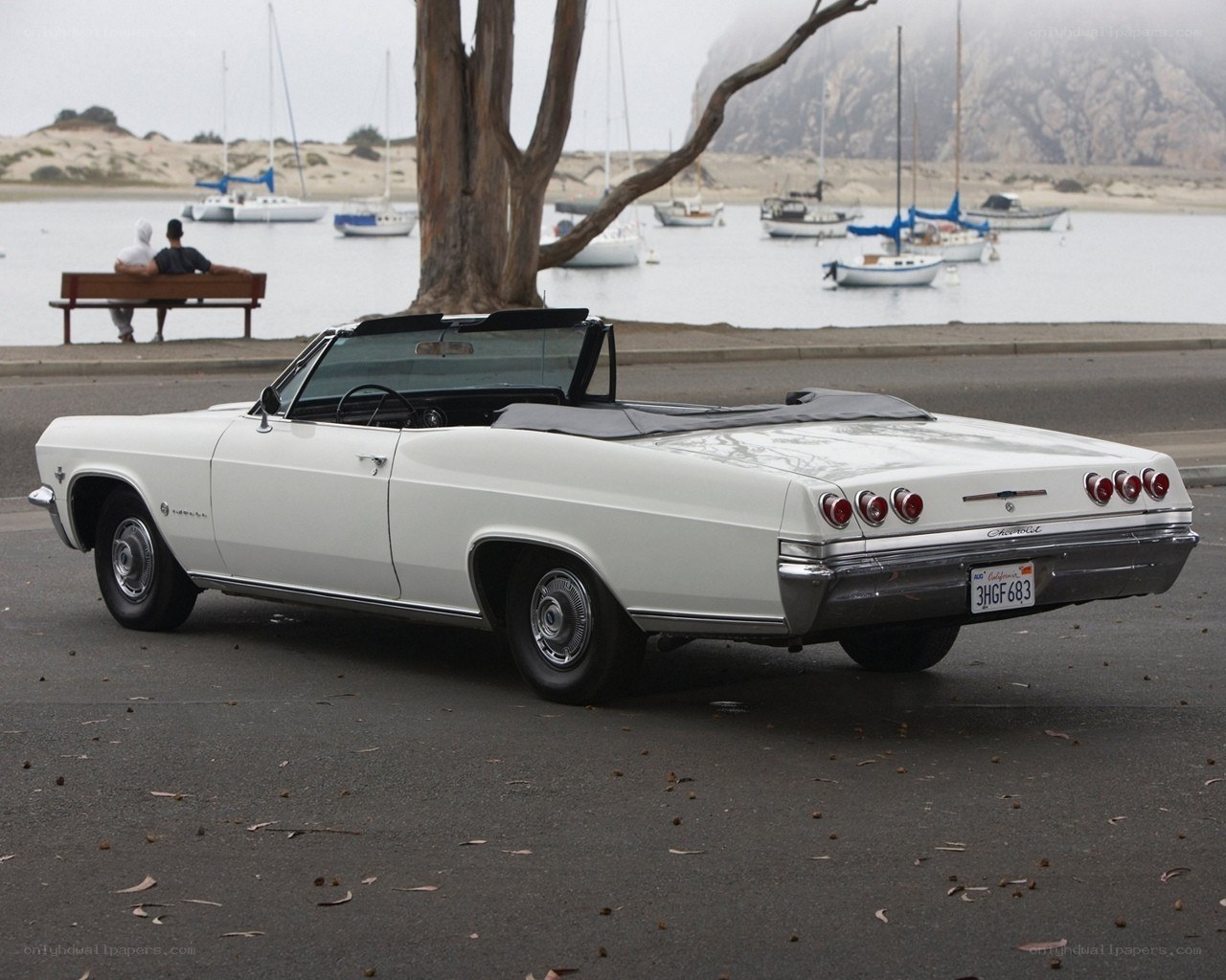 White convertible by the water