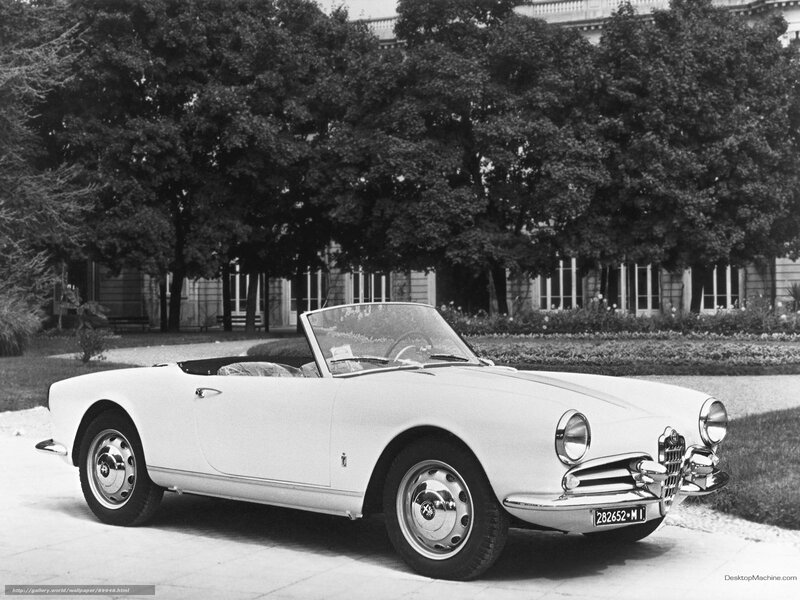 White Convertible Car — Black