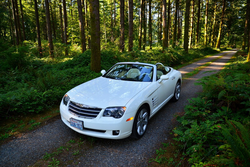 White convertible in forest